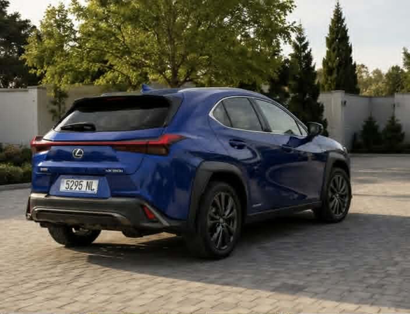 Lexus UX250h 2020 — photo 2