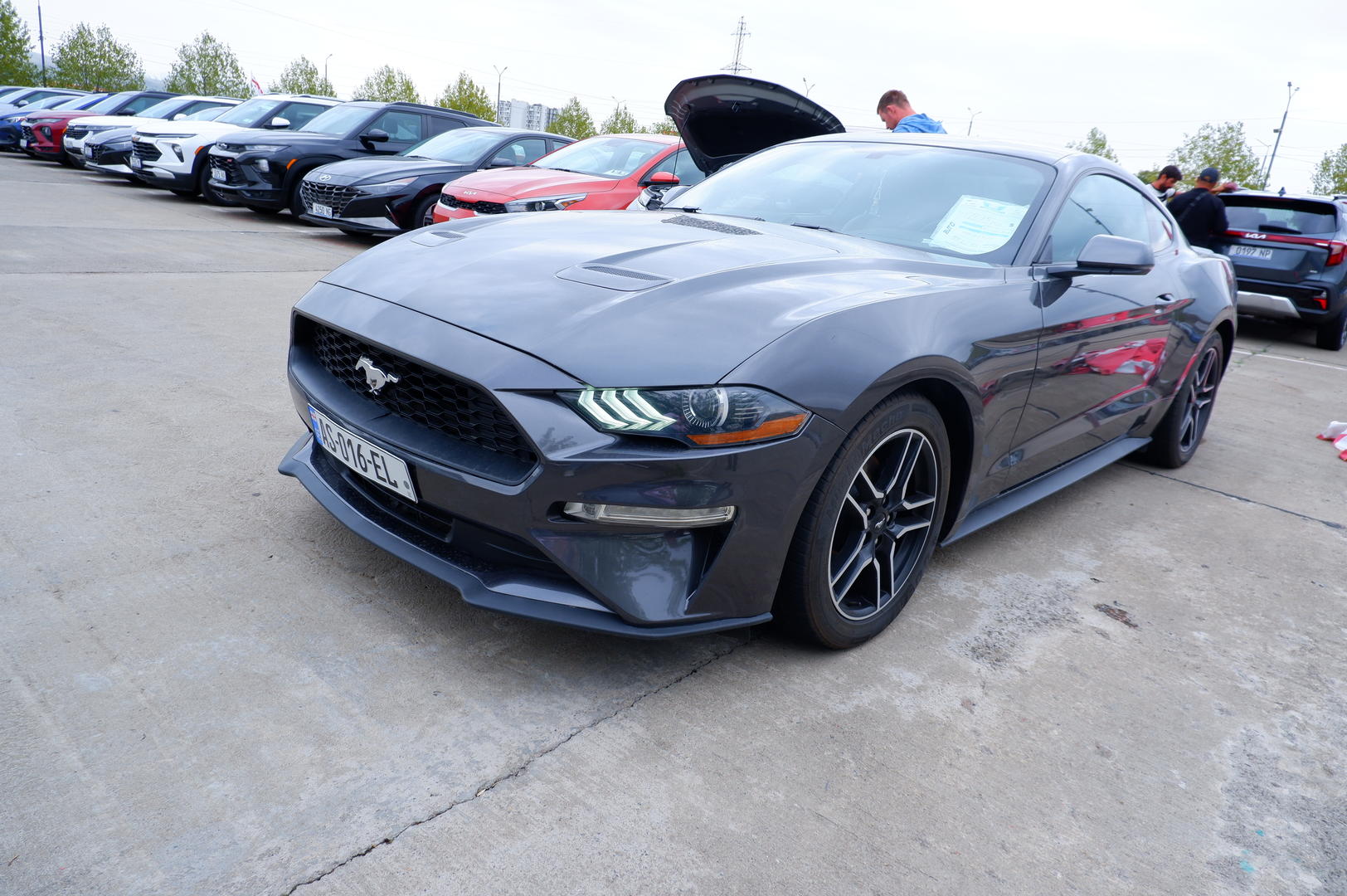 Ford Mustang 2019 — photo 2