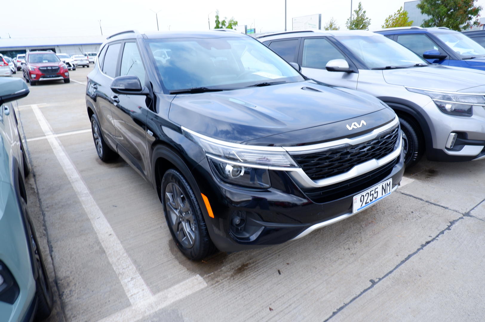 Kia Seltos 2022 — photo 2