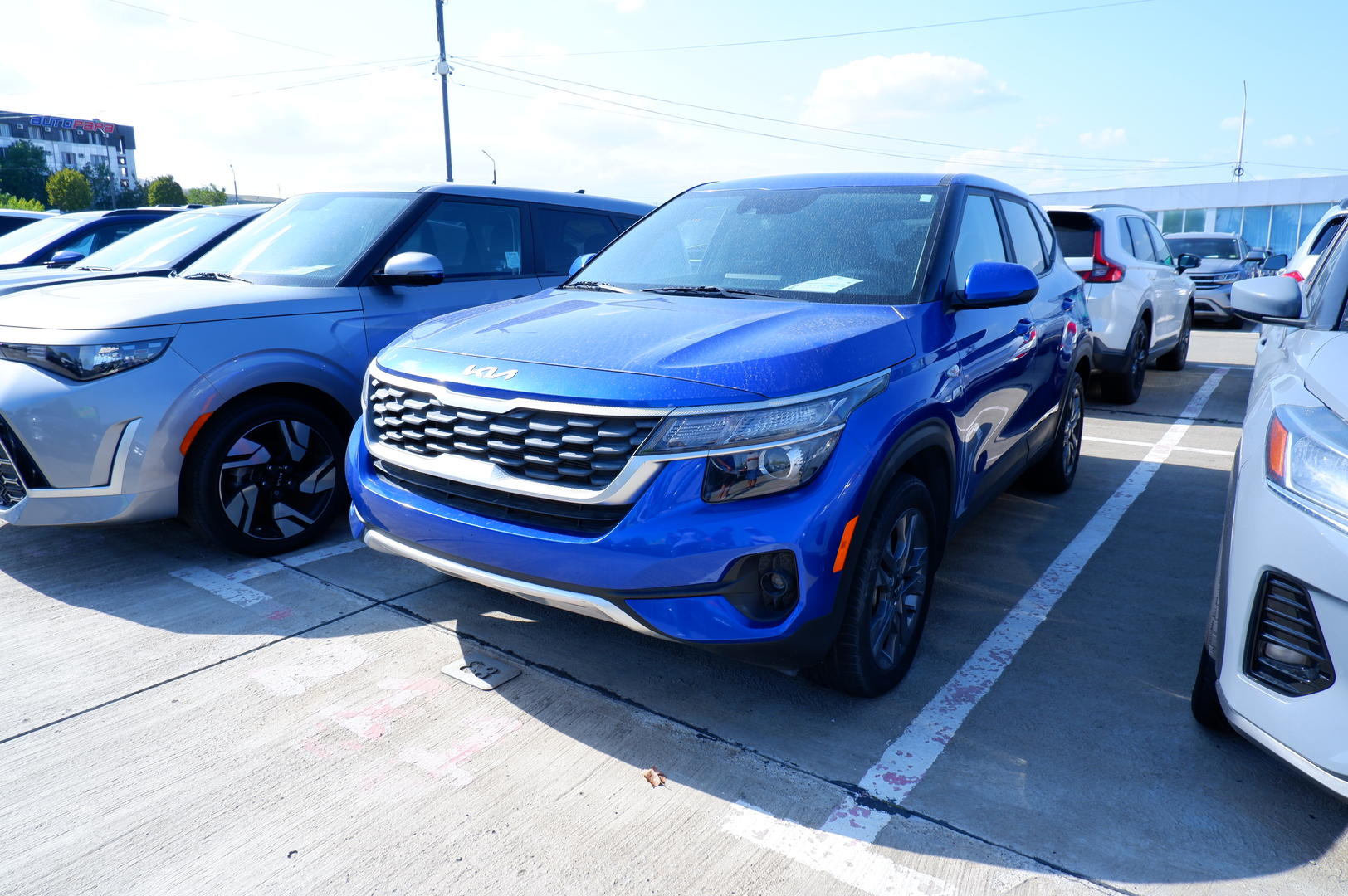 Kia Seltos 2022 — photo 2