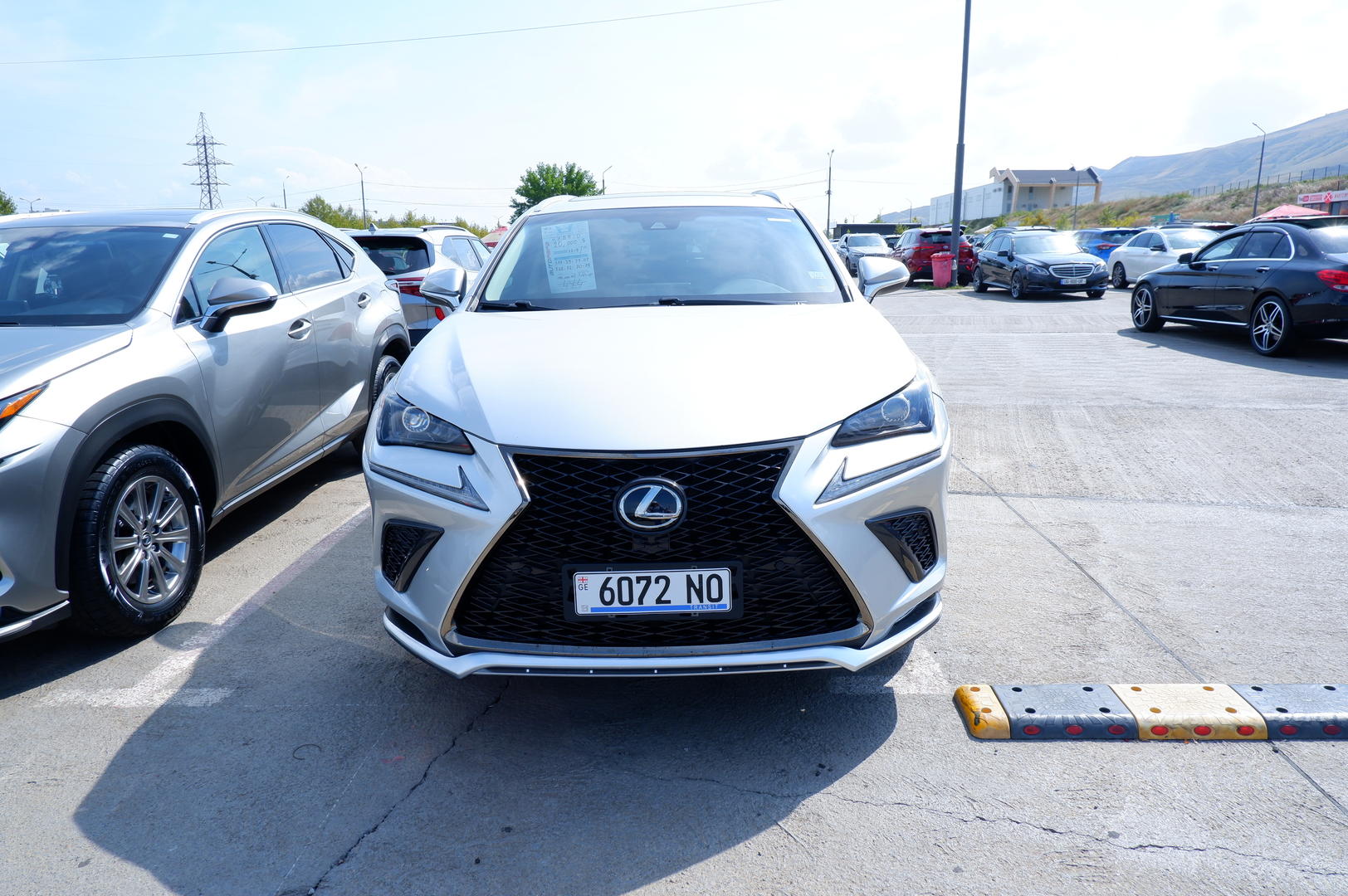 Lexus NX 300 2019 — photo 2
