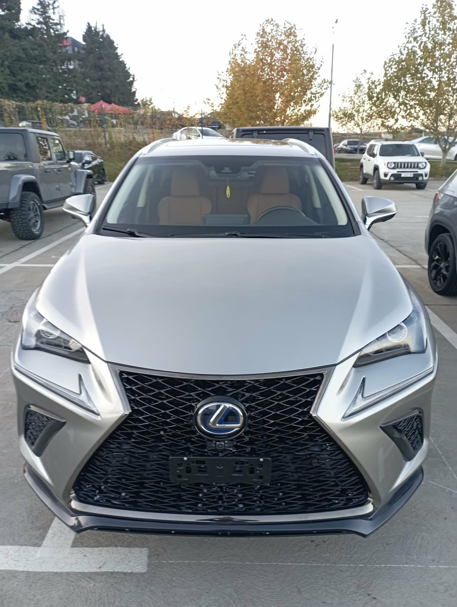 Lexus NX