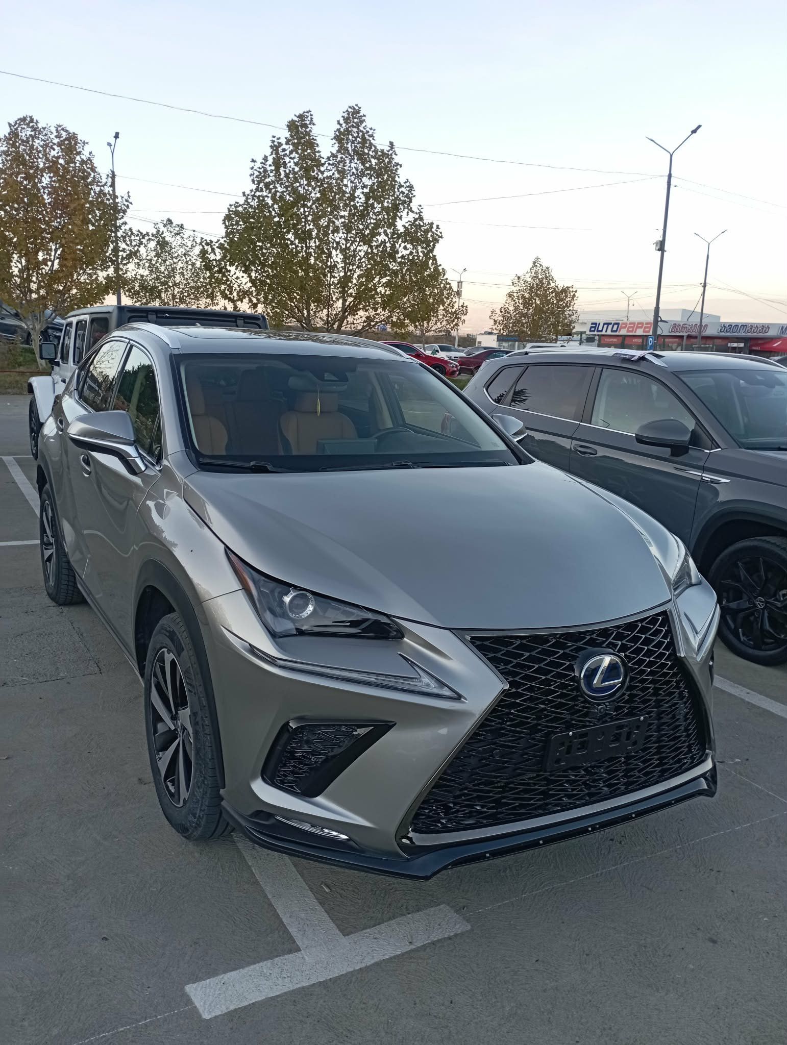 Lexus NX 2021 — photo 2