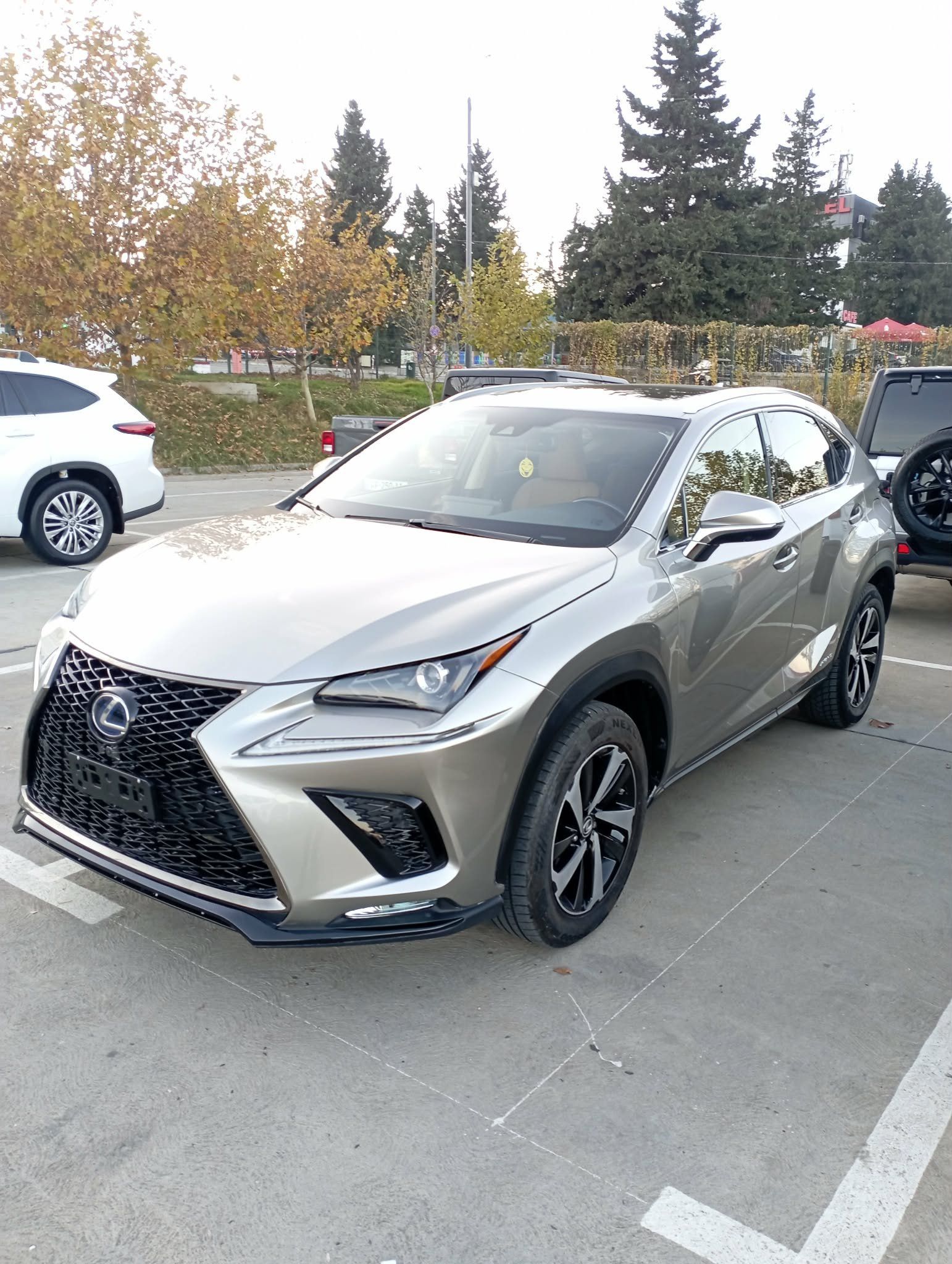 Lexus NX 2021 — photo 2